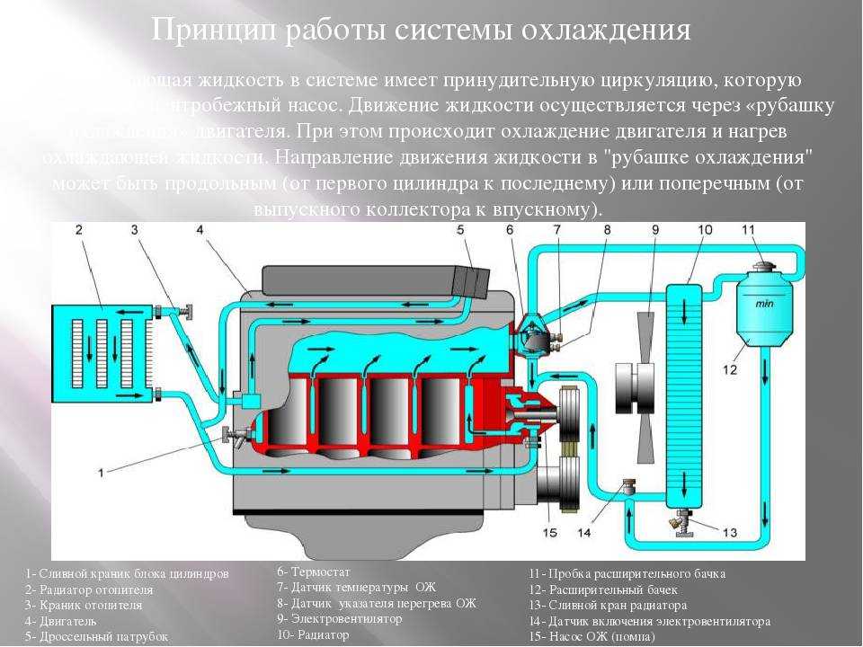 Система охлаждения Москвич-408 Автомобиль Системы охлаждения автомобиля